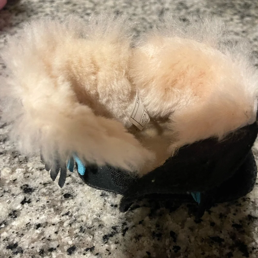 UGG Black and Cream Sheepskin Footwear
